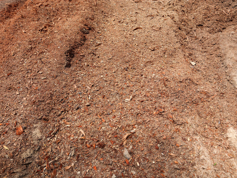 Photo of the garden landscape after a stump has been grinded and removed.