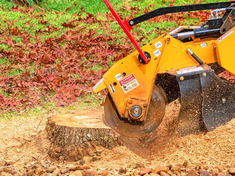 A stump being grinded by an Perth tree arborists.